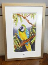 FRAMED "PARROT" LIMITED EDITION PRINT