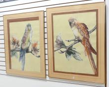 PAIR OF LIMITED EDITION "PARROT" PRINTS