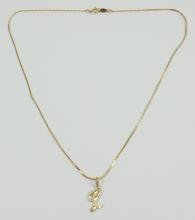 PENDANT ON CHAIN