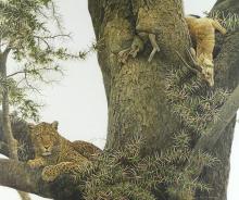 ROBERT BATEMAN
