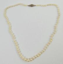 AKOYA SALTWATER CULTURED PEARLS