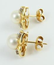 PAIR PEARL EARRINGS