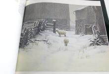 CANADIAN ART BOOKS
