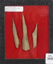 BONE AWLS, MIDDLESEX COUNTY