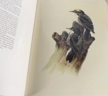 J.F. LANSDOWNE IN TWO VOLUMES