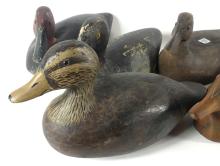 ASSORTED DUCK DECOYS