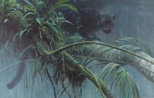 ROBERT BATEMAN