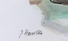JAROSLAV HAVELKA