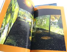 TWO VAN GOGH BOOKS