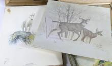 SELECTION OF ARTWORK