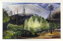 EMILY CARR