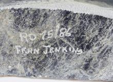 FRAN JENKINS