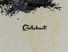 RAYMOND CALLEBAUT
