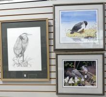 3 LTD. EDITION BIRD PRINTS