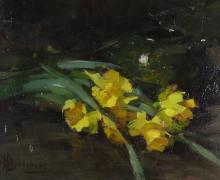 EVA BRADSHAW