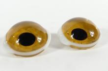 RARE TAXIDERMY GLASS EYES