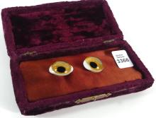 RARE TAXIDERMY GLASS EYES