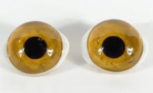 RARE TAXIDERMY GLASS EYES