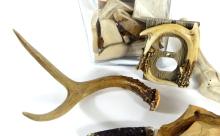 ANTLER HORN ITEMS