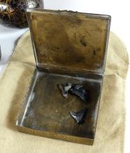 PINE SPECIMEN BOX WITH CURIOS