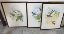 SET OF VINTAGE "BIRD" PRINTS