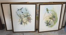 SET OF VINTAGE "BIRD" PRINTS