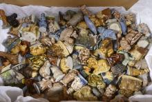BOX OF WADE TEA FIGURINES