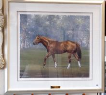 FRAMED LIMITED EDITION "SECRETARIAT" PRINT