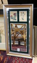 FRAMED BOTANICAL ENGRAVINGS