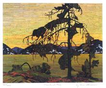 TOM THOMSON