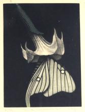 KOYU