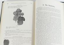 RARE ORIGINAL VERSION OF THE "FRUITS OF ONTARIO 1906"