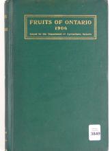 RARE ORIGINAL VERSION OF THE "FRUITS OF ONTARIO 1906"