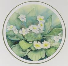 SUSAN GOOLD