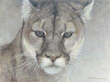 ROBERT BATEMAN