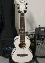 UKULELE AND AMPLIFIER