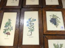 FRAMED PRINTS AND PLACEMATS