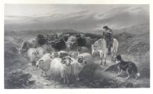 1876 ENGLISH STEEL ENGRAVING
