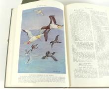 "THE BOOK OF BIRDS" 2-VOLUME SET