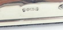 2 ENGLISH STERLING SILVER PICTURE FRAMES