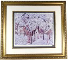 TOM THOMSON
