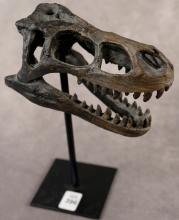 REPLICA UTAHRAPTOR SKULL