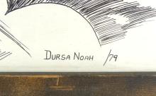 DURSA NOAH