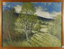 HALFRED TYGESEN