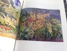 TWO VOLUMES ON VINCENT VAN GOGH