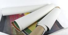 SELECTION OF CANVAS PRINTS