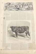 ANTIQUE U.S. PAPER PUBLICATIONS