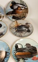 "AMERICAN WATERBIRDS" PLATE SET