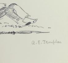TWO ALBERT TEMPLAR DRAWINGS