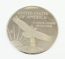 OVERSIZE SILVER MEDALLION - no tax